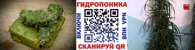 Cannafood марихуана Олонец